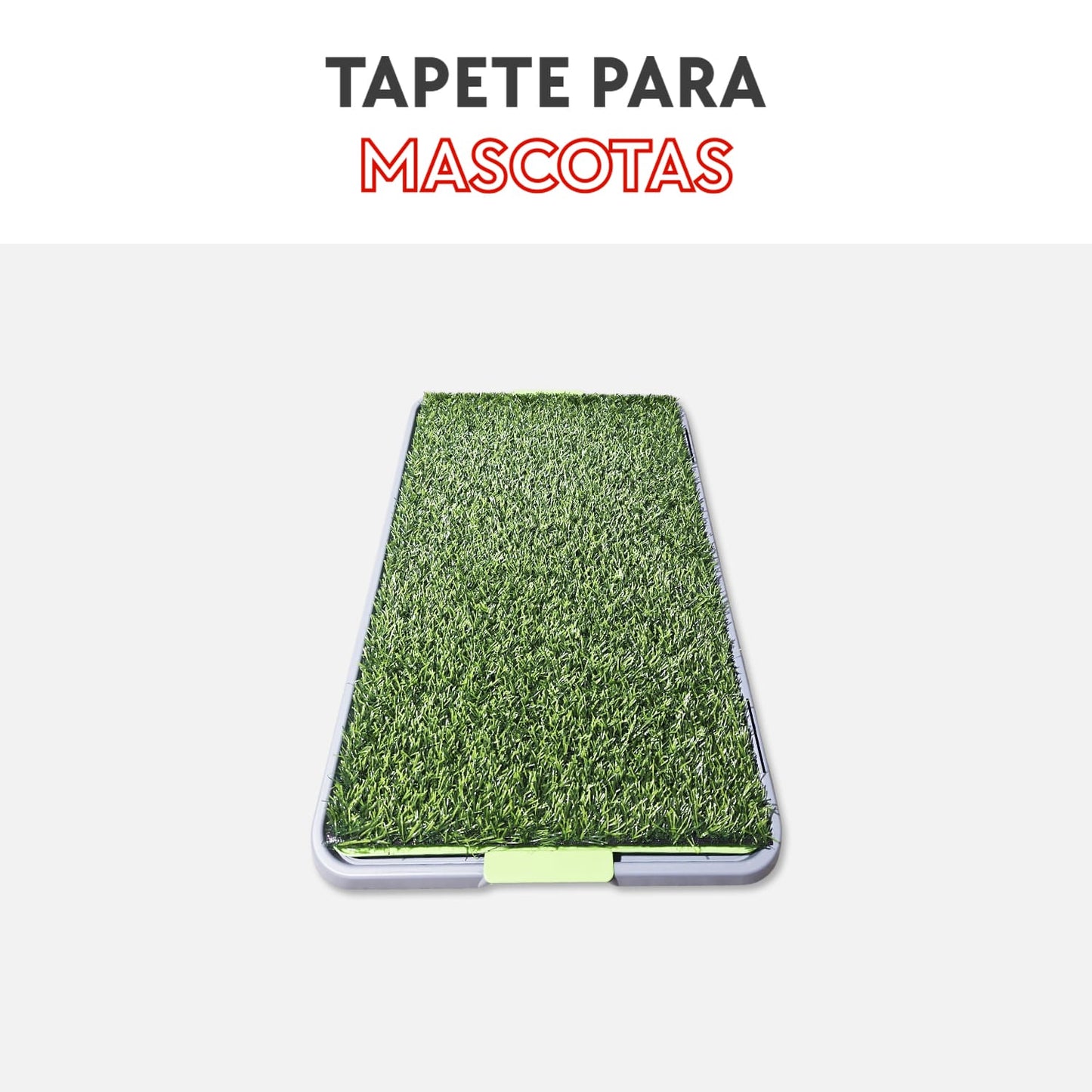 Tapete para mascotas